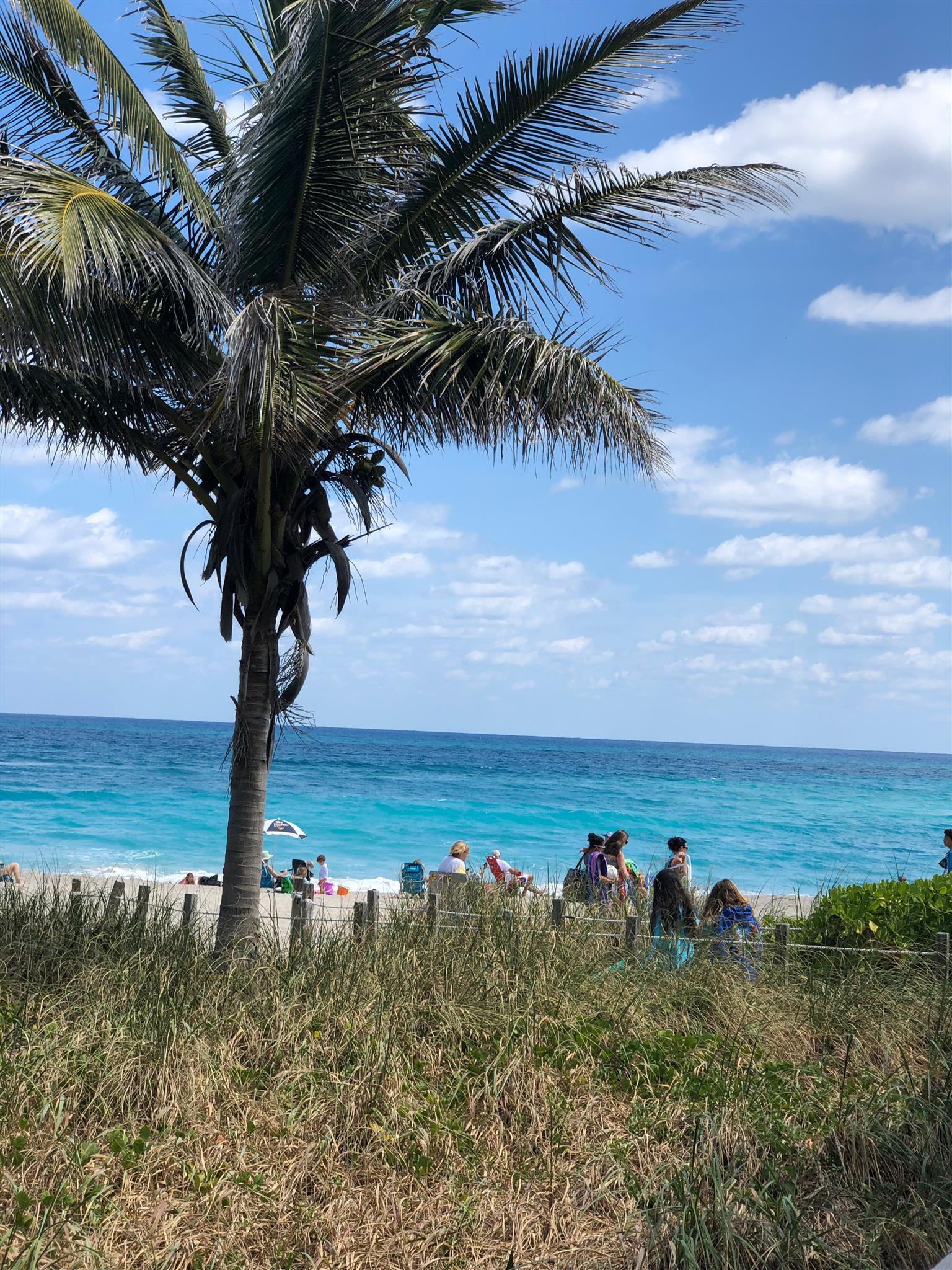 Juno Beach